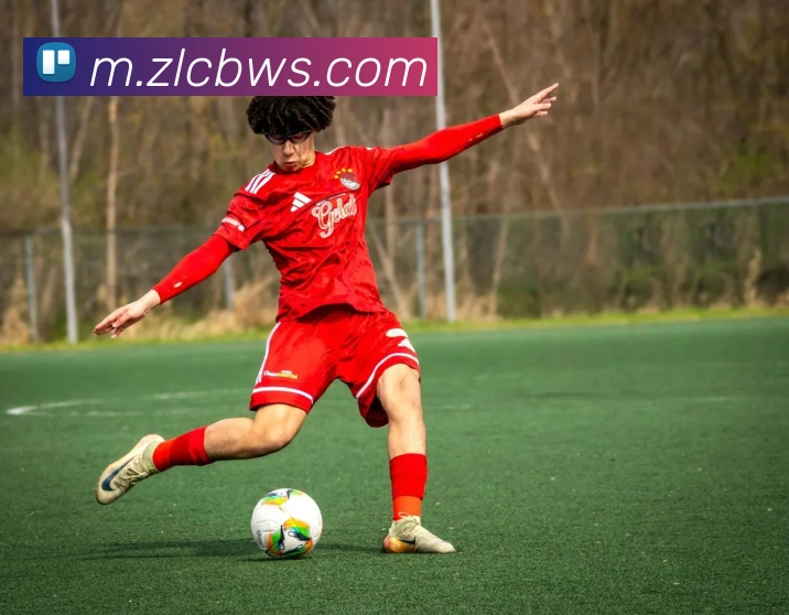 尊龙凯时人生就是博平台生态图